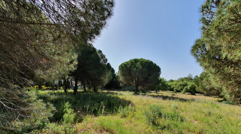 Cádiz - Algeciras - 11528m2