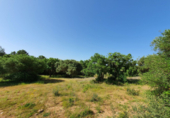 Sòl urbà en venda a la España, Algesires, ref.: TR117760 foto
