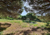 Sòl urbà en venda a la España, Algesires, ref.: TR117760 foto
