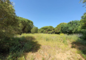 Sòl urbà en venda a la España, Algesires, ref.: TR117760 foto