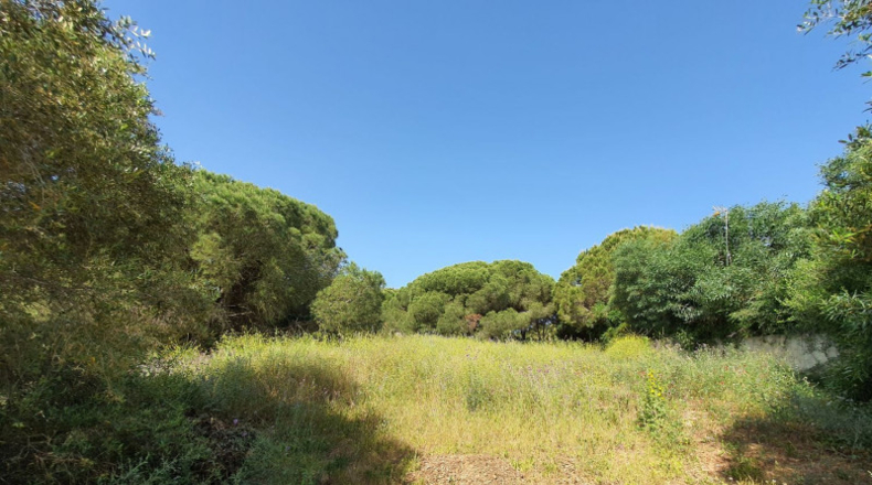 Cádiz - Algeciras - 11528m2