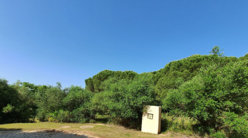 Cádiz - Algeciras - 11528m2
