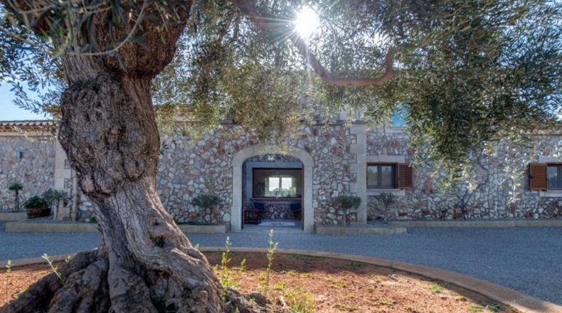 Islas Baleares - Llucmajor - 20243m2