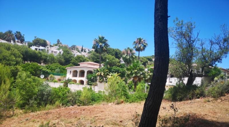 Alicante - Teulada - 13927m2