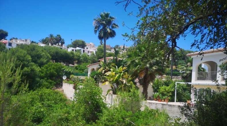 Alicante - Teulada - 13927m2