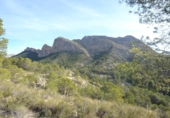Finca rústica en venda a la España, Orxeta, ref.: TR321072 foto