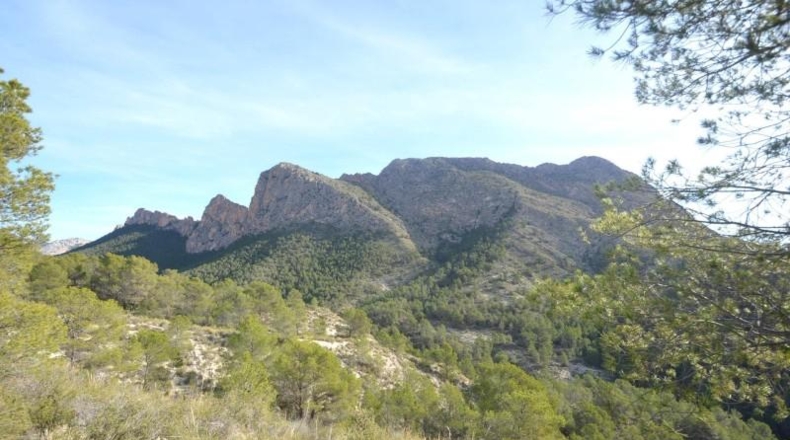 Alicante - Orxeta - 900000m2