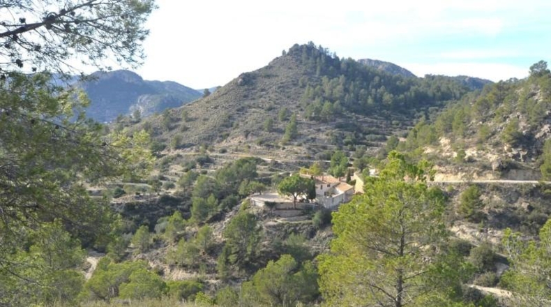 Alicante - Orxeta - 900000m2