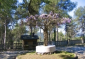 Detached villa with land for sale on España, Badalona, ref: TR308348 photo