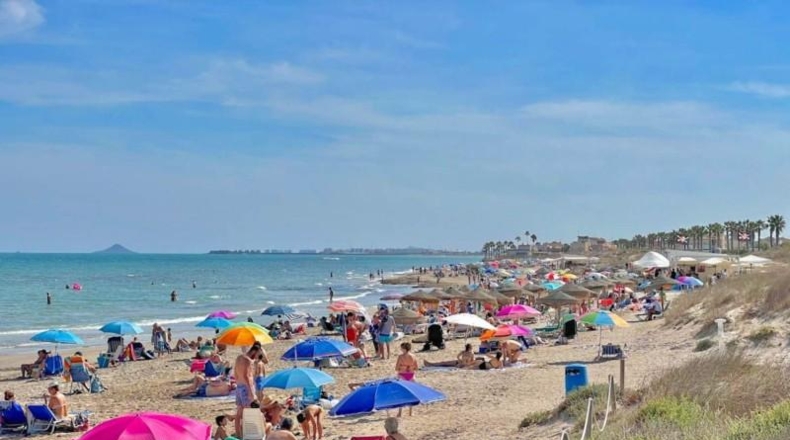 Alicante - Oriola - 500m2