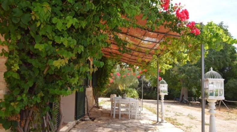 Balearic Islands - Muro - 38317m2