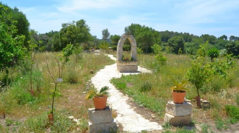 Balearic Islands - Muro - 38317m2