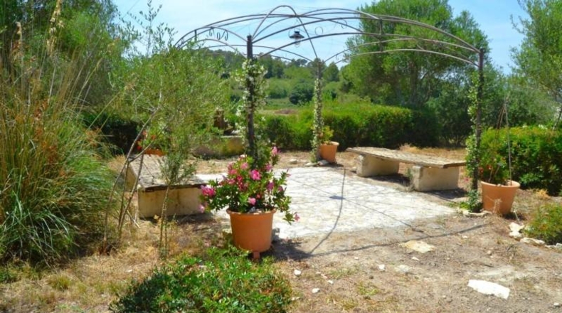 Balearic Islands - Muro - 38317m2