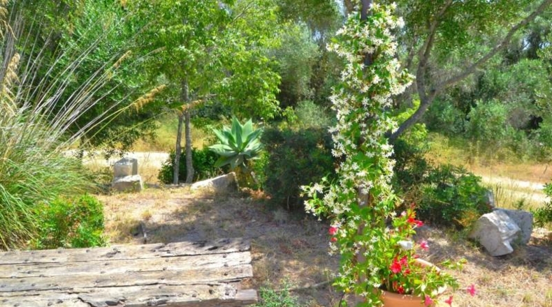 Balearic Islands - Muro - 38317m2