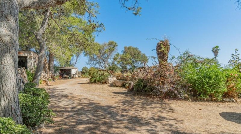 Balearic Islands - Mahón - 90000m2
