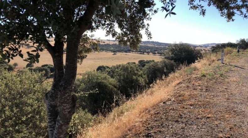 Badajoz - Valverde de Leganés - 31300m2