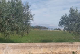 Torreblanca 4296&nbsp;m²