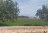 Land with storage building for sale on Camí de les Cerderes, Torreblanca, ref: TR403153 photo