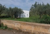 Land with storage building for sale on Camí de les Cerderes, Torreblanca, ref: TR403153 photo