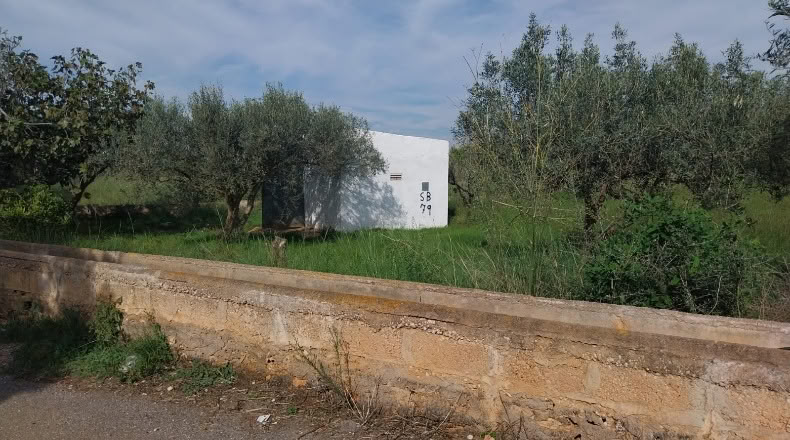Castellón - Torreblanca - 4296m2