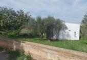 Land with storage building for sale on Camí de les Cerderes, Torreblanca, ref: TR403153 photo