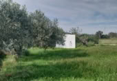 Land with storage building for sale on Camí de les Cerderes, Torreblanca, ref: TR403153 photo