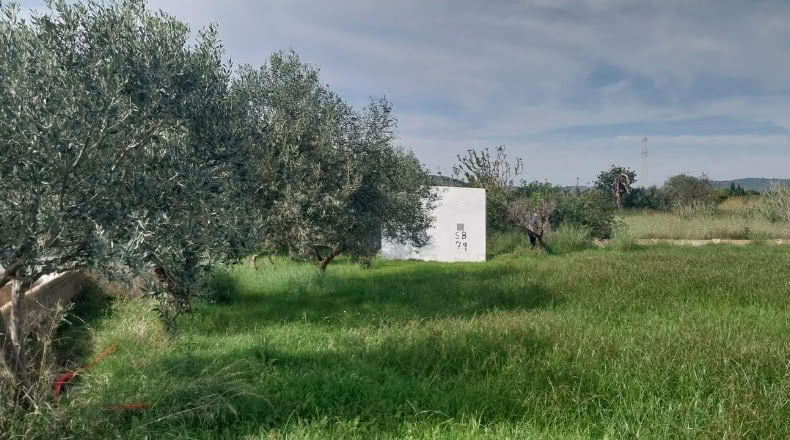 Castellón - Torreblanca - 4296m2