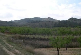 Foto 9