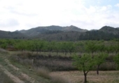Chalet independiente con terreno en venta en la España, Monóvar, ref: TR146072 foto