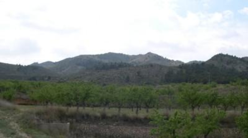 Alicante - Monóvar - 3000000m2