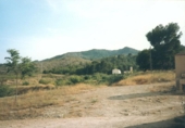 Chalet independiente con terreno en venta en la España, Monóvar, ref: TR146072 foto
