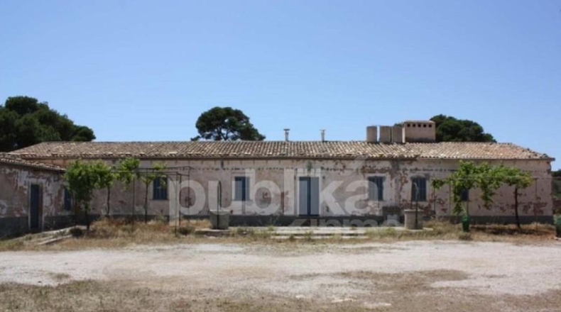 Islas Baleares - Llucmajor - 82400m2