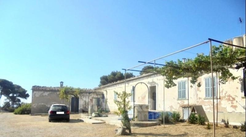 Islas Baleares - Llucmajor - 82400m2
