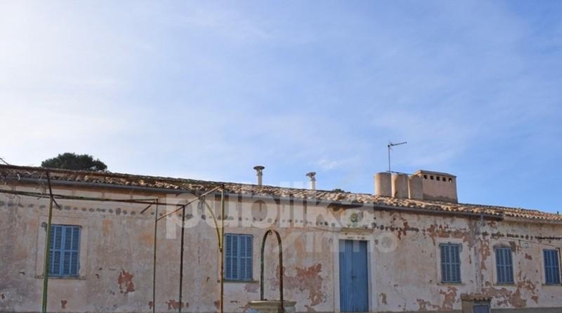 Islas Baleares - Llucmajor - 82400m2