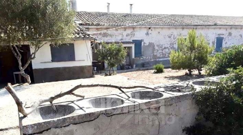 Islas Baleares - Llucmajor - 82400m2