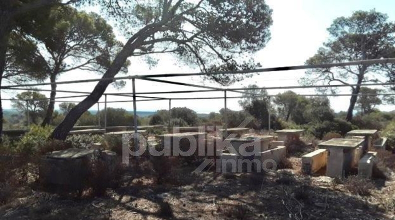 Islas Baleares - Llucmajor - 82400m2