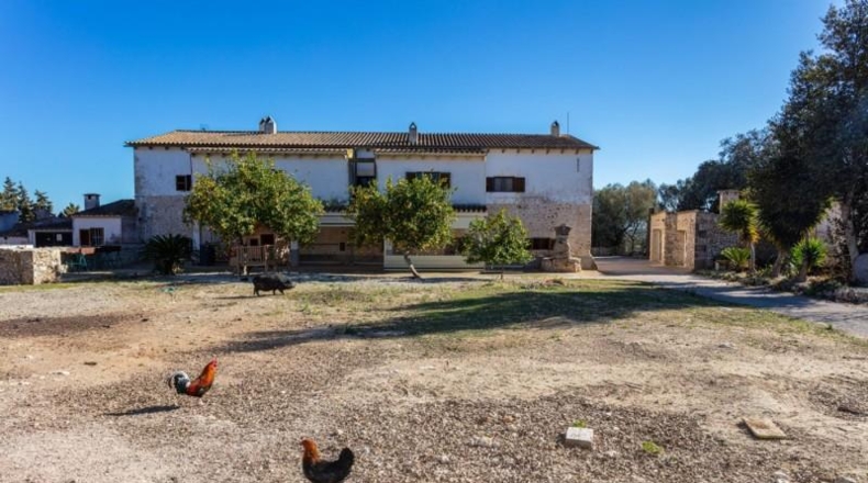 Islas Baleares - Lloret de Vistalegre - 50001m2