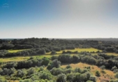 Non-developable land for sale on España, Cala Santanyí, ref: TR335823 photo