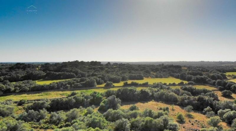 Islas Baleares - Santañy - 280000m2
