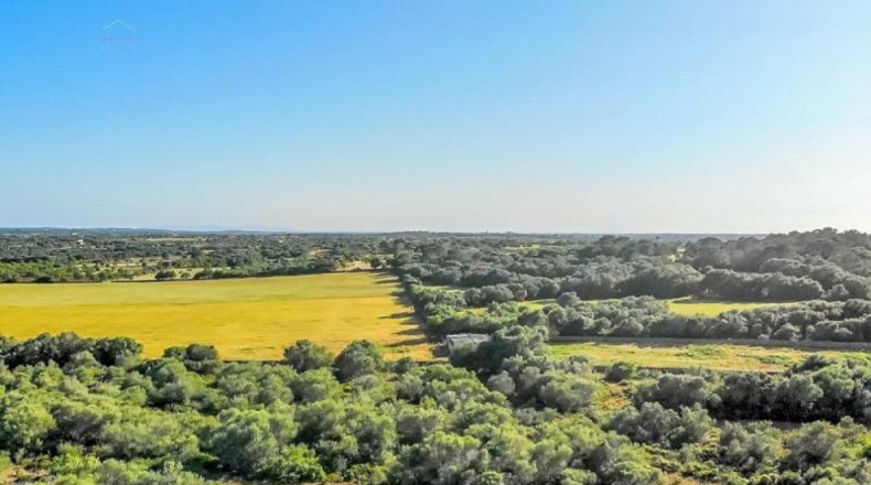 Islas Baleares - Santañy - 280000m2