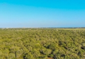 Non-developable land for sale on España, Cala Santanyí, ref: TR335823 photo
