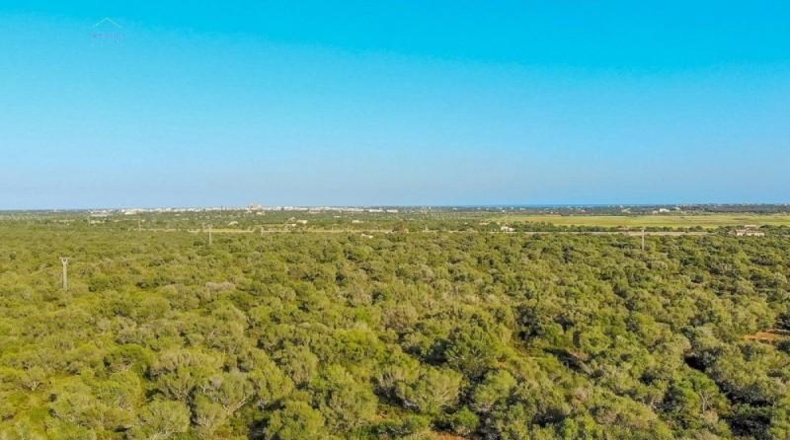 Islas Baleares - Santañy - 280000m2