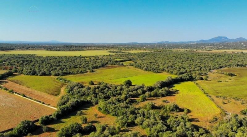 Islas Baleares - Santañy - 280000m2