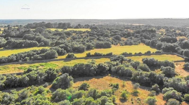 Islas Baleares - Santañy - 280000m2