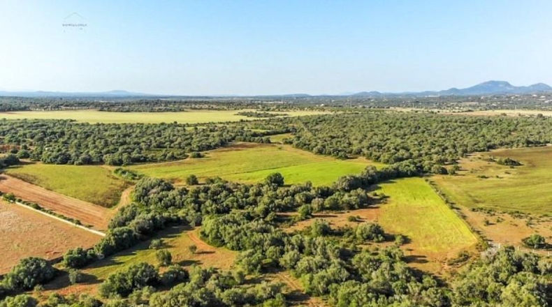 Islas Baleares - Santañy - 280000m2