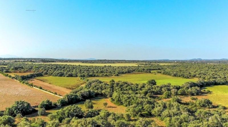 Islas Baleares - Santañy - 280000m2