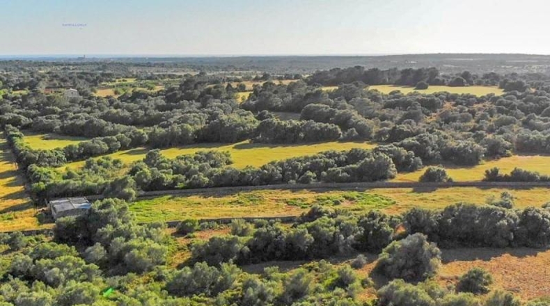 Islas Baleares - Santañy - 280000m2