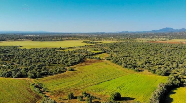 Islas Baleares - Santañy - 280000m2