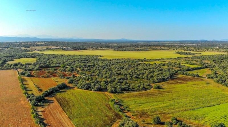 Islas Baleares - Santañy - 280000m2