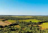 Non-developable land for sale on España, Cala Santanyí, ref: TR335823 photo